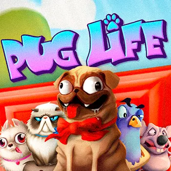 Pug Life